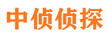 布尔津寻人公司